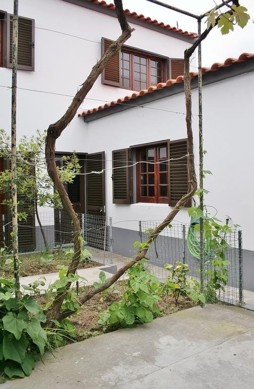 Casa Azul Natura Ponta Delgada Buitenkant foto